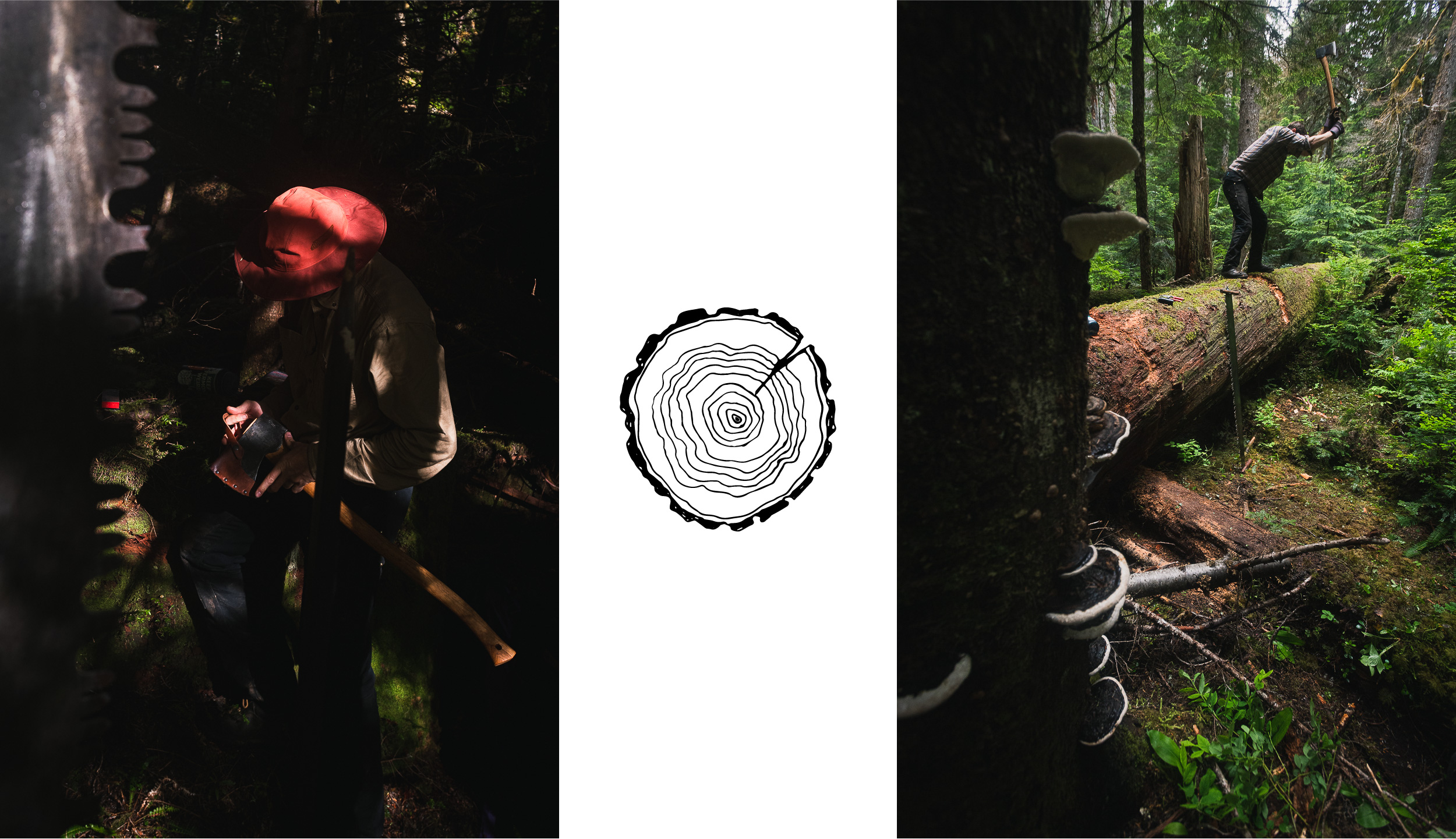 RogueRestoration_7